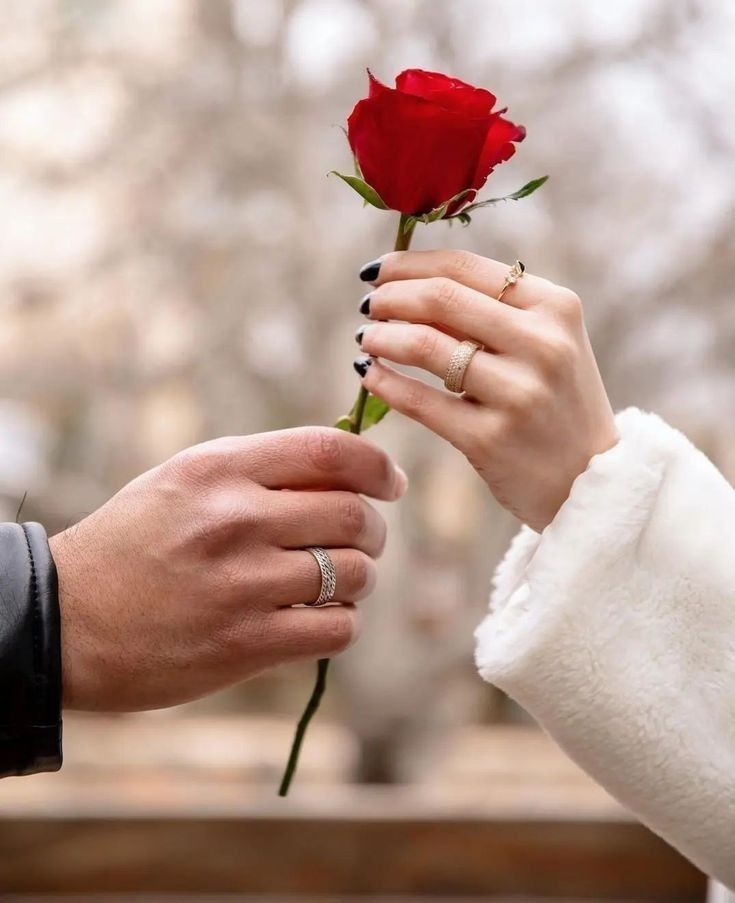 8 مفاتيح للسعادة الزوجية بيد الزوج : كيف تكون زوج مثالي